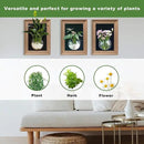 Walnut Wooden Frame Wall Hanging Planter for Hydroponic Plants，12'' x16''inch Wall Vase with Oblate-Shaped Acrylic Propagation Station，Bathroom, Office, or Living Room Decor, Set of 3 by CozyNest Decor