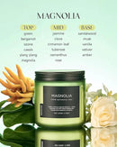 M&SENSE Magnolia Jasmine Spring Scented Candle, 11.6oz 70 Hours Long Lasting Clean Non Toxic All Natural Soy Wax Candle for Relaxing & Stress Relief, 2 Wick Romantic Fragrance Gifts for Home Decor by CozyNest Decor