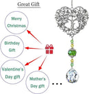 H&D HYALINE & DORA Tree of Life Crystal Suncatchers Crystal Drop Prism Rainbow Maker Hanging for Home Garden Decoration, Heart Shaped by GreenHaven Gardens