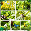 Wenqik 50 Pcs Mini Resin Bird Figurines Miniature Small Birds Figurines Realistic Animal for Fairy Terrarium Craft Garden Accessories Home Ornament Micro Landscape Birthday Cake Toppers Decor by GreenHaven Gardens