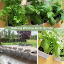 Herb Garden Kit Indoor Herb Garden Starter Kit - 10 Variety Herbs Kitchen Window Herb Garden Planter Indoor & Outdoor Growing Kit for Windowsill Countertop - Unique Gardening Gift for Women Men by GreenHaven Gardens