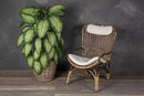 Rattan Kobo Indoor Outdoor Planter Basket with Plastic Pot X Large 12 Gallon Soil Capacity by CozyNest Decor