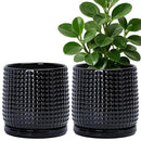 D'vine Dev Set of 2 Ceramic Plants Pots, 6 Inch Beaded Stoneware Flower Pot for Plants with Drainage Hole and Saucer, Glossy Black, 27-E-X-2 by GreenHaven Gardens