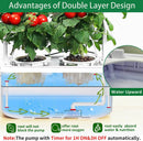 Hydroponics Growing System kit with Trellis,Smart Hydroponic Gardening System with LED Grow Light, Indoor Hydroponic Garden Herb Grow Kit for Short Tomato,Pepper,Cucumber (6200LC) by GreenHaven Gardens