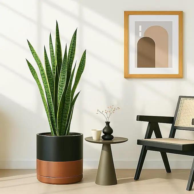 D'vine Dev 12 Inch Ceramic Planter Pot with Drainage Hole and Saucer, Indoor Cylinder Round Planter Pot, Black/Speckled Tan, 94-O-F-7, photo 5 of 7