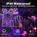 2 Pack 400 LED Solar String Lights, 8 Modes Solar String Lights for Outside, Waterproof and Solar Powered Outdoor String Lights for Holiday Christmas Yard Garden Tree Wedding Party (Orange Purple) by GreenHaven Gardens
