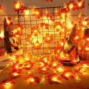 2 Pack Fall Garland with Pumpkin Lights Halloween Decorations Indoor 60 LED 20 Ft Enlarged Maples Leaves Fall Lights Battery Operated Halloween Garland Thanksgiving Decor Home Indoor Outdoor Christmas by CozyNest Decor