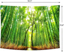 Delur Forest Pathway Tapestry Sunset Tropical Rainforest Nature Tree Tapestry Wall Hanging Sunrise Scenic Natural Green Landscape Headboard for Bedroom Living Room Home Decor (70.8" x 92.5") by CozyNest Decor