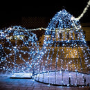 HOME LIGHTING 66ft Christmas Decorative Mini Lights, 200 LED Green Wire Fairy Starry String Lights Plug in, 8 Lighting Modes, for Indoor Outdoor Xmas Tree Wedding Party Decoration (White) by TinyTreasures Baby Boutique