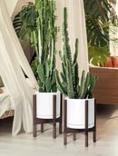 D'vine Dev Ceramic Planter with Walnut Color Stand - 10 Inch Modern Round Flower Pot with Wood Planter Holder, White, 55-B-X-1 by CozyNest Decor