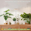 Plant Grow Light for Indoor Plant,Bamboo Mini LED Grow Light Garden,Height Adjustable,Automatic Timer with 8/12/16 Hours by GreenHaven Gardens