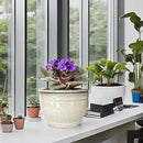 African Violet Pots Self Watering Round Ceramic Violet Pot (White, 6 inch) by GreenHaven Gardens