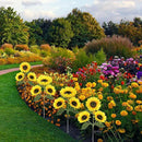 Solar Sunflower Lights, 800mA Solar Garden Light with Real Looking Flowers Outdoor Waterproof Solar Stake Lights for Back Yard, Flower Bed, Pathway, Patio, Porch, Fall Decoration (4 Pack) by GreenHaven Gardens