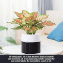 Phoenix Vine 6.5 Inch Self-Watering Planter Pot with Terracotta Insert, Deep Water Reservoir, and Ceramic-Alike BPA-Free Plastic Pot for Plant, Modern Planter for Houseplants, Black/White, 53-C-S-7 by CozyNest Decor