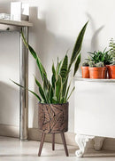 D'vine Dev 12 Inch Planter Pot with Stand, Mid-Century Tall Plant Pot with Legs for Indoor Plants, Large, Bronze/Grey, 88-L-C-6 by GreenHaven Gardens