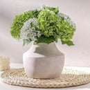 Mitt&Ditt Ceramic Flower Vase, 5.3 inch Off-White Farmhouse Rustic Vase, Handcrafted Weathered Pottery Vases, Small Flower Terracotta Vases for Home Decor, Living Room, Table, Shelf by CozyNest Decor