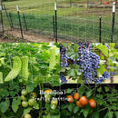 All-Weather Trellis Netting Mesh Plant Garden Vine Growing Flexible String Net (3.5" Mesh ployester, 5' Wx 15'L) by GreenHaven Gardens