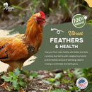 Chicken Dust Bath - 7lbs, Made in USA Natural Dust Bath for Chickens - Ideal Chicken Dust for Bath Tub Mix - Poultry Dust Powder for Chicken Coop by GreenHaven Gardens