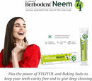 Herbodent® NEEM 7 in 1 Toothpaste-6.53Oz Pack of 1 | Organic Herbs-Neem, Black Seed & Xylitol for Anti Cavity, Cardamom & Mint for Freshness, Baking Soda for Great Cleaning-No Fluoride & No Paraben by CozyNest Decor