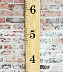 Little Acorns DIY Vinyl Growth Chart Ruler Decal Kit, Jumbo Numbers by TinyTreasures Baby Boutique