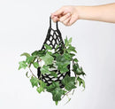 2PK Wall Planters for Indoor Plants, Macrame Plant Hanger | Wall Planter, Plant Hanger, Hanging Planter (2PK, for 6 inch Pot) by CozyNest Decor