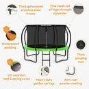 JUMPZYLLA Trampoline Outdoor 8FT 10FT 12FT 14FT 15FT 16FT with Enclosure and Ladder, ASTM Approved Recreational Trampoline for Kids and Adults, Anti-Rust Coated Frame by TinyTreasures Baby Boutique