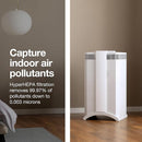 IQAir HealthPro Plus XE Air Purifier - Smart HyperHEPA Filtration for Large Rooms up to 1125 sq ft - Smoke, Viruses, Allergens, Asthma, Mold, Dust, Pets, Swiss Made, WiFi Enabled by TinyTreasures Baby Boutique