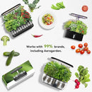 inbloom Fruit Seed Pod Kit for AeroGarden, iDOO, Ahopegarden, MUFGA Hydroponic Growing System, 12-Pod, 350+ Seeds Included Strawberry, Cucumber, Green Pepper, Golden Tomato, Radish, Dwarf Pea, Beet by GreenHaven Gardens