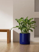 LE TAUCI 12 Inch Pots for Plants, Ceramic Large Plant Pot for Indoor Plants, Mid-Century Modern Flower Planter Pots with Drainage Hole and Removable Plug, Round Planter Pot, Sapphire Blue by CozyNest Decor