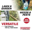 Chapin 20002 Made in USA 2 -Gallon Lawn and Garden Pump Pressured Sprayer, for Spraying Plants, Garden Watering, Lawns, Weeds and Pests, Translucent White by GreenHaven Gardens