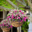 2 Pack 10 Inch Hanging Planters for Outdoor Plants Metal Wire Flower Baskets with Natural Coconut Liners for Garden Planting Decor by GreenHaven Gardens