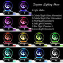Qianwei Moon Fairy 3D Crystal Ball Laser Engraved Fairy Glass Ball Fairy Night Light Decorative Globes 3D Crystal Moon Sphere Fairy Gifts for Girl Her Fairy Lover by GreenHaven Gardens