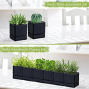4 Inch Herb Planter Pot, Plastic Planter with Drainage Holes and Saucer, Modern Decorative Gardening Pot for Indoor Plants, Flowers, Herbs, Succulents, Black, Set of 6, 76-Y-B-6 by GreenHaven Gardens