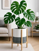 D'vine Dev Ceramic Planter with Natural Stand - 12 Inch Modern Round Flower Pot with Wood Planter Holder, White/Grey, 55-B-J-6 by CozyNest Decor