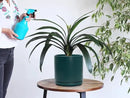 D'vine Dev Set of 2 Plants Pots, 8 Inch Ceramic Planter Pot for Plants with Drainage Hole and Saucer, Teal, 94-V-D-9 by GreenHaven Gardens