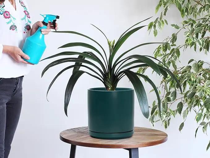 D'vine Dev 8 Inch Ceramic Planter Pot with Drainage Hole and Saucer, Indoor Cylinder Round Planter Pot, Teal, 94-O-D-9, photo 7 of 7