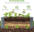 Land Guard 24“ Tall 4×2ft Galvanized Raised Garden Bed Kit, Galvanized Planter Garden Boxes Outdoor, Oval Large Metal Raised Garden Bed for Vegetables(Modern Gray, 4×2×2ft) by GreenHaven Gardens