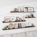 Solid Ash Wood Picture Ledge Shelf, 36 Inch Floating Shelves with Lip Set of 2, Photo Ledge Shelf Nursery Bookshelf Wall Mounted for Living Room Bedroom Decor, Walnut by TinyTreasures Baby Boutique