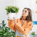 YIBOT 3 Pack Macrame Plant Hanger Indoor Hanging Planter Basket with 3 Hooks Flower Pot Holder No Tassels for Boho Home Decor 35"/29"/23" by GreenHaven Gardens