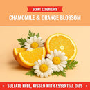 Rebel Green Organic Baby Laundry Detergent - Natural Laundry Soap - Liquid Laundry Detergent - Gentle Laundry Detergent - Chamomile & Orange Blossom Scent - (68 Load Bottles, 2 Pack) by TinyTreasures Baby Boutique