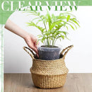 Vesici Large Size Clear Nursery Pots Variety Pack Plant Pots with Drainage Holes Planters for Indoor Plants Flexible Transparent Plastic Plant Bottle Succulents(12 Pcs,5/7/9 Inch) by GreenHaven Gardens