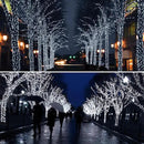 Solar String Lights Outdoor, 4 Pack Each 100 LED Solar Christmas Twinkle Lights Outside, Waterproof Copper Wire with 8 Modes Solar Fairy Lights for Garden Yard Tree Wedding Christmas Decor(Cool White) by GreenHaven Gardens