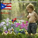 Puerto Rico Souvenirs, Puerto Rican Coqui with Sound, National Symbol of Puerto Rico Decorations Gifts, Novelty Puerto Rican Theme Sculpture Coqui Signs Frog Figurine, Battery Not Included by GreenHaven Gardens