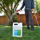 Advanced 16-4-8 Lawn Fertilizer - Liquid Lawn Food Spring & Summer Concentrated Spray - Any Grass Type- Fish and Seaweed Kelp- Balanced NPK - Simple Lawn Solutions (2.5 Gallons) by GreenHaven Gardens