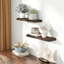 24" Floating Shelves, Live Edge Solid Elm Wood Floating Shelf, Wall Mounted Display Shelves with Heavy-Duty Bracket for Books, Rustic Wooden Shelf for Kitchen, Bathroom, Walnut Color, Set of 2 by CozyNest Decor