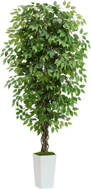 Artificial Ficus Tree 6FT Faux Plants Indoor Tall Fake Plants with White Planter, Green Lifelike Lush Fake Ficus Tree for Home Living Room Bedroom Outdoor Balcony House Office Decor by CozyNest Decor