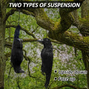 Lewtemi 2 Pcs 17 Inch Realistic Hanging Dead Crows Decoy Life Size Black Feathered Crow Fake Black Crows for Garden Decorations by GreenHaven Gardens
