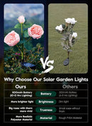Brightown Solar Garden Lights - 4 Pack Solar Flowers Lights with Larger & More Realistic Austin Rose, Bigger Solar Panel, Solar Lights for Outside Waterproof for Yard Patio Garden Decoration by GreenHaven Gardens
