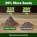HOME GROWN 𝗨𝗦𝗔 𝗣𝗥𝗘𝗠𝗜𝗨𝗠 White Sage Seeds 323 Pack 𝗡𝗢𝗡-𝗚𝗠𝗢 Heirloom Seeds - Grow Aromatic Sage Plants for Your Herb Seeds Garden with Sage for Planting Outdoor or Indoor (Salvia apiana) by GreenHaven Gardens