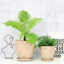 8 Inch + 6 Inch Retro Ceramic Planter Set of 2 with Drainage Hole and Saucer for Multiple Plants, Indoor-Outdoor Garden Pots for Succulent, Orchid, and Flower (Retro Peach) by CozyNest Decor